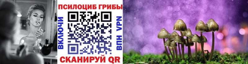 Галлюциногенные грибы мицелий Нестеровская