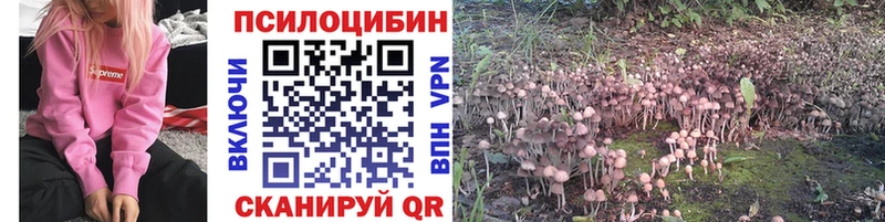 Галлюциногенные грибы Psilocybe  darknet наркотические препараты  Нестеровская 